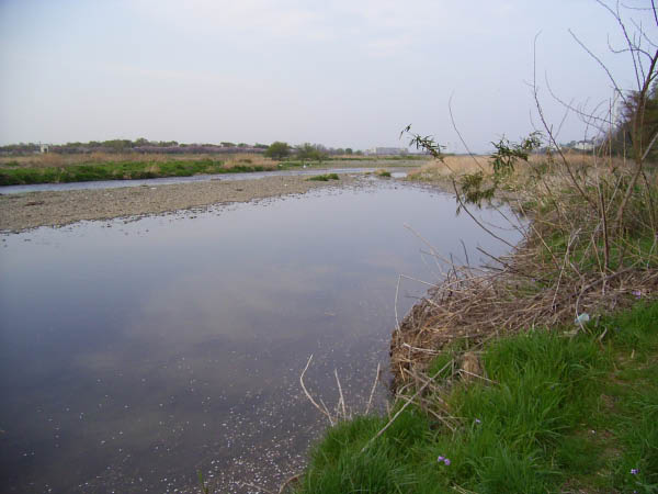 image0006