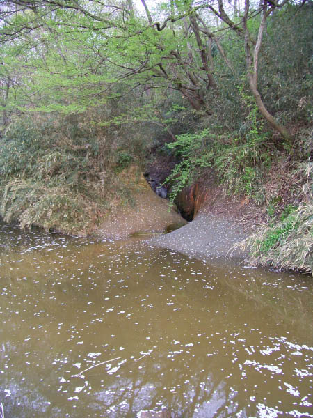 image0011