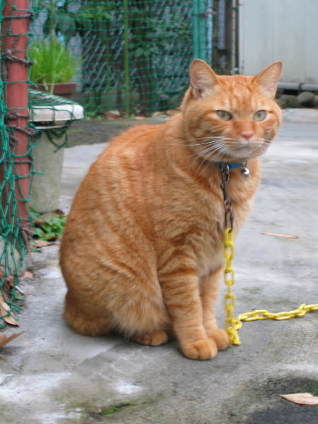 image0016