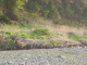 image0003