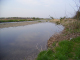 image0006