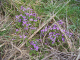 image0008