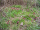 image0009