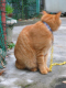 image0015